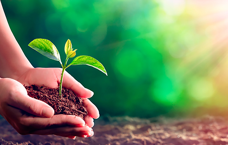 凯发·k8(中国游)官方网站