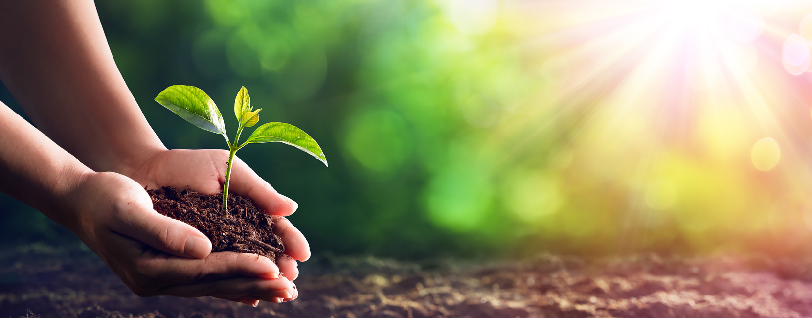 凯发·k8(中国游)官方网站